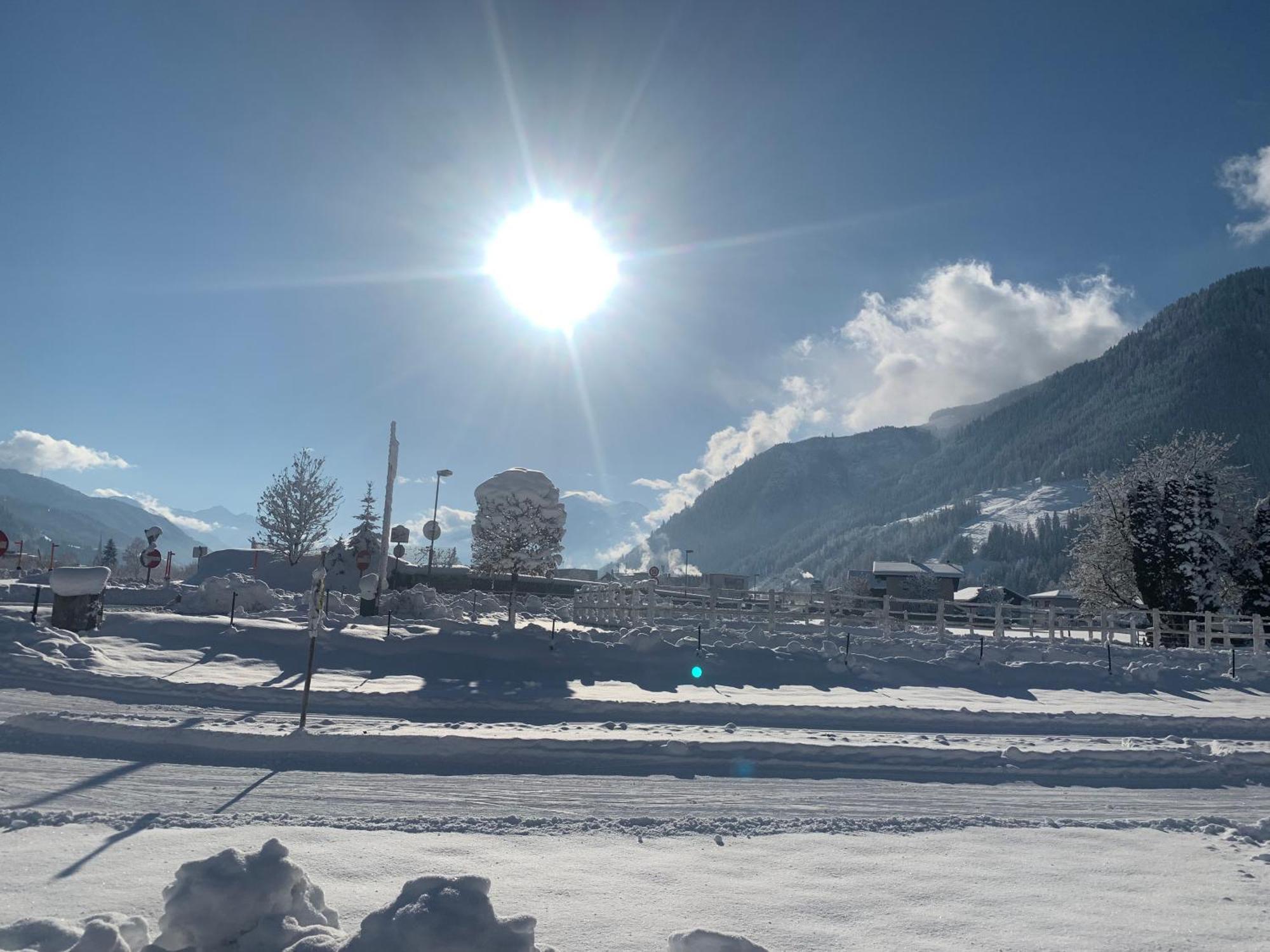 Appartement Buchwald Maishofen Dış mekan fotoğraf