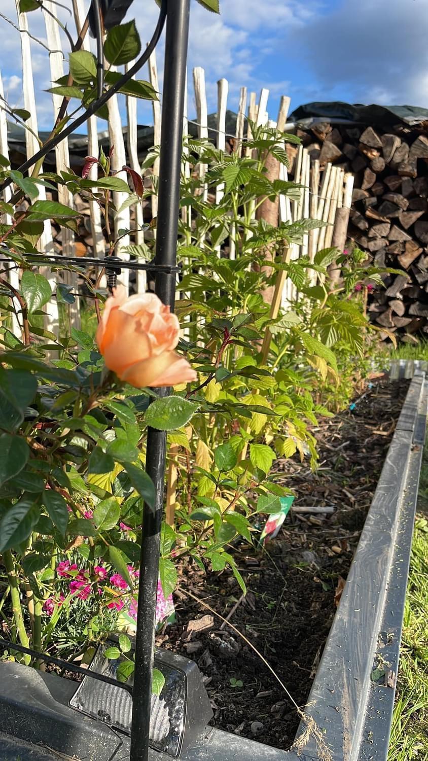 Appartement Buchwald Maishofen Dış mekan fotoğraf